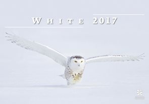 White/Exclusive kalendář nástěnný 2017