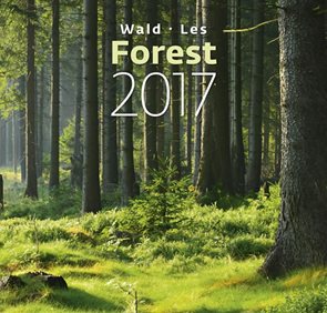 Les - Forest kalendář nástěnný 2017