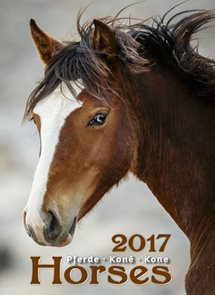 Koně kalendář nástěnný 2017