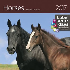 Kalendář nástěnný 2017 "label your days" - Horses