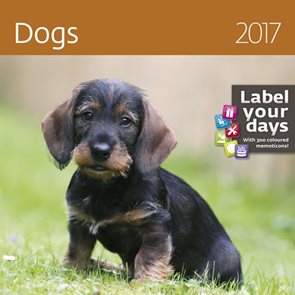 Kalendář nástěnný 2017 "label your days" - Dogs