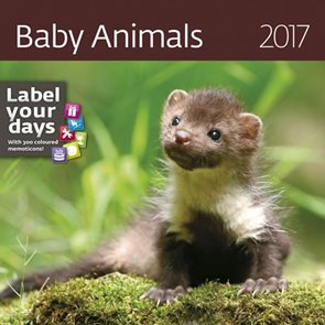 Kalendář nástěnný 2017 "label your days" - Baby Animals