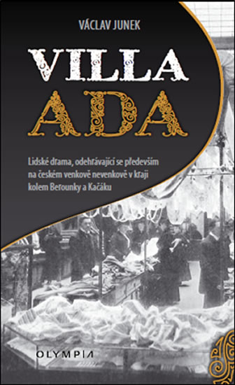 Levně Vila Adda - Junek Václav