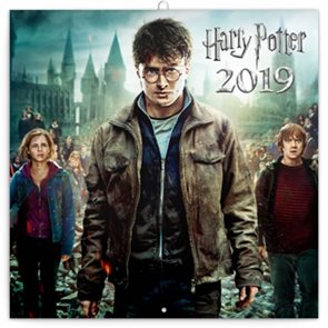 Kalendář poznámkový 2019 - Harry Potter, 30 x 30 cm