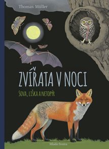 Zvířata v noci - Sova, Liška a Netopýr