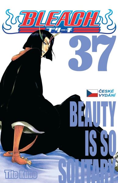 Bleach 37: Beauty Is So Solitary - Kubo Tite