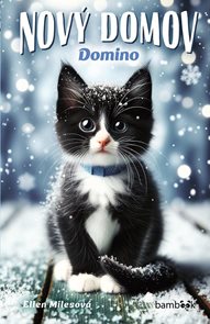 Nov&#253; domov - Domino