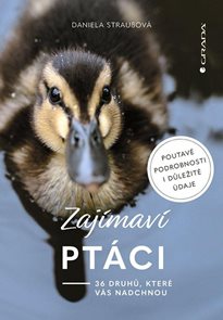 Zaj&#237;mav&#237; pt&#225;ci - 36 druhů, kter&#233; v&#225;s ohrom&#237;