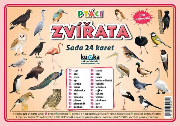 Ptáci zvířata - Sada 24 karet - Kupka Petr a kolektiv - 14,8x21