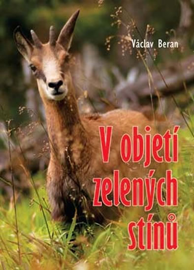 V objetí zelených stínů - Beran Václav - 13,7x18,7