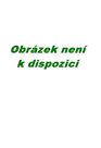 Texty
